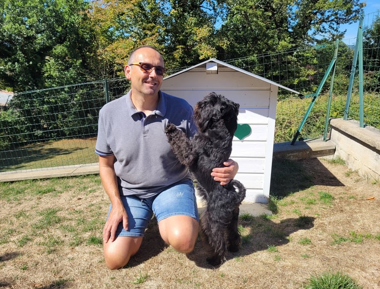 Panzer, étalon Schnauzer miniature