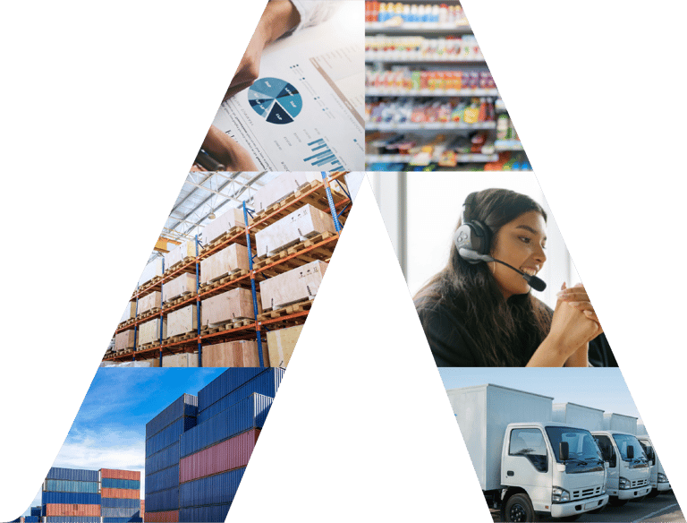 Raya FMCG Services: Sales & Distribution, Merchandising, Export, and more