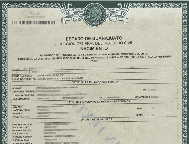 Professional birth certificate translation services by Lang Lumin