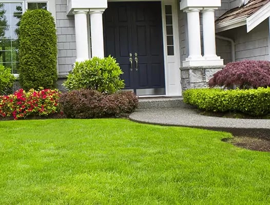 client home, full service landscaping package