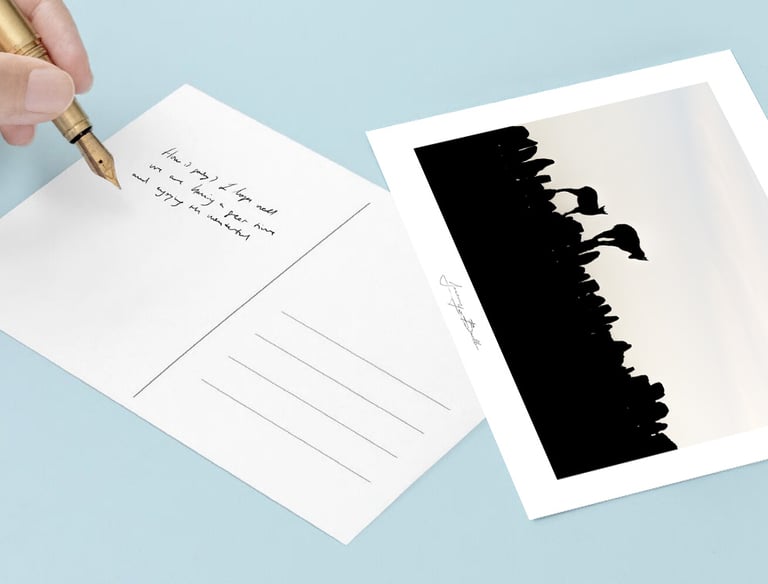 Cartes photo papier Soft Touch, formats 13×18 à 30×45 — exemple de modèle