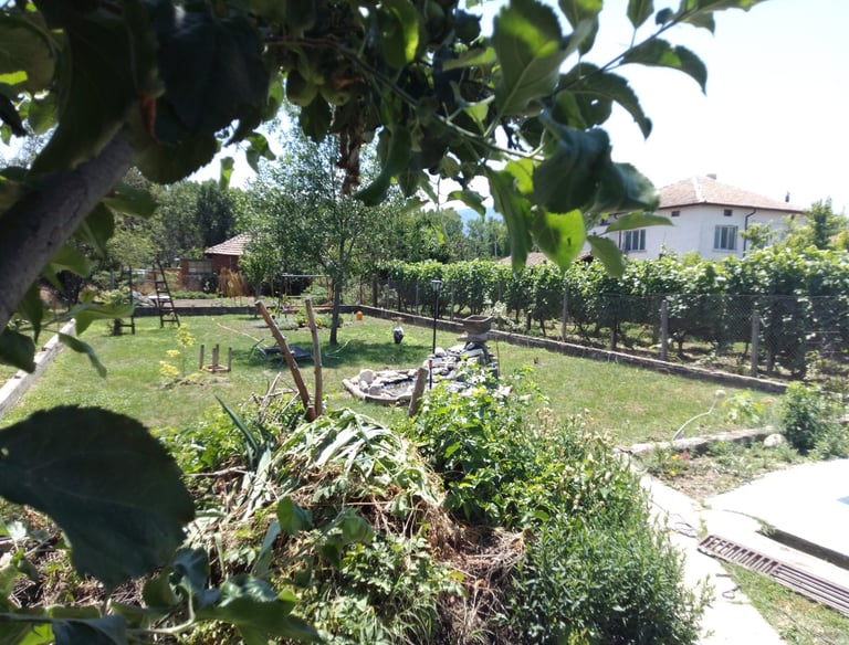 Градината на Hedgie Wilder с фонтан, цветя, осветление, дърво и щъркел, който търси храна в тревата