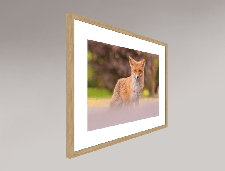 Tirage Fine Art papier coton mat Photo Rag — exemple