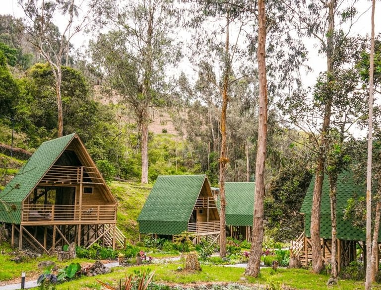 Cabañas,hotel ecológico, Colombia, cordillera de los andes
