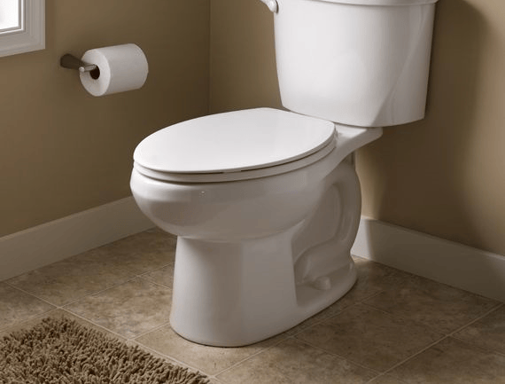 desentupimento de vaso sanitário