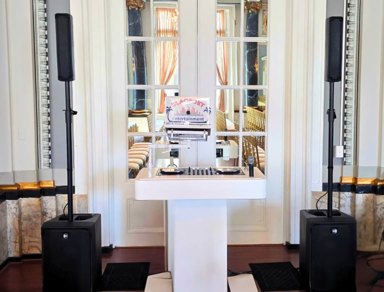 Professional DJ set up