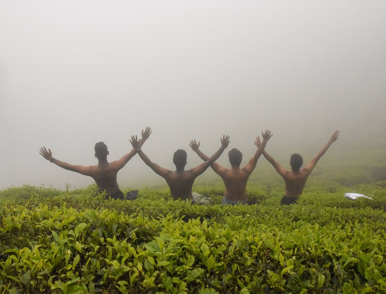 munnar_experience
