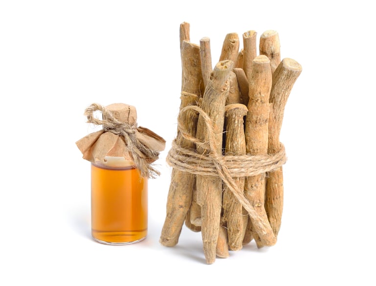 Bundle of Ashwagandha roots with leaves and flowers, medicinal herb used in Ayurvedic wellness