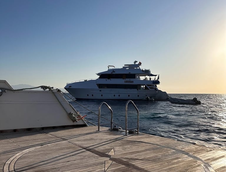 safari boat