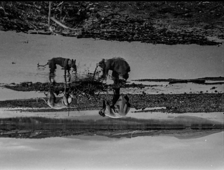 the mirage reflection of a woman and her dog contributing to a greater picture of nature together