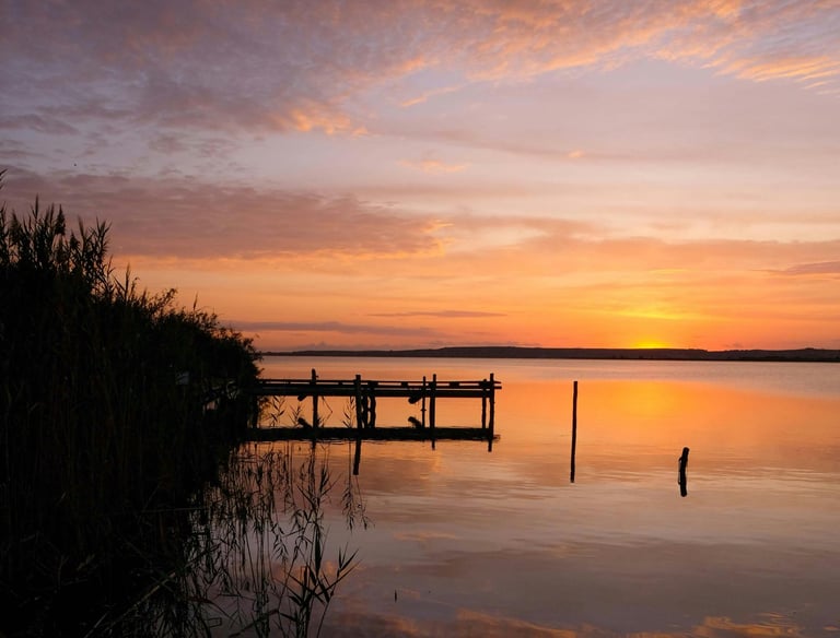 Cami Hoang – Soft Sunset Return | Home Rest & Rise Section