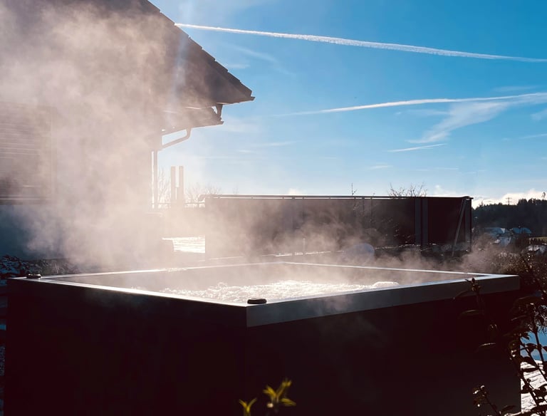 MetallSpa Edelstahl Whirlpool