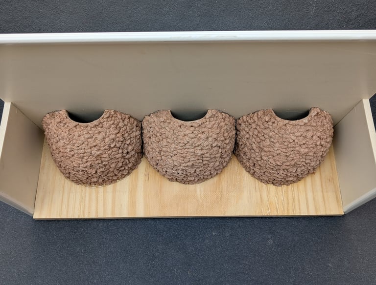 triple-house-martin-nest-cup-with-upvc-false-eaves--by-nest-cup-box