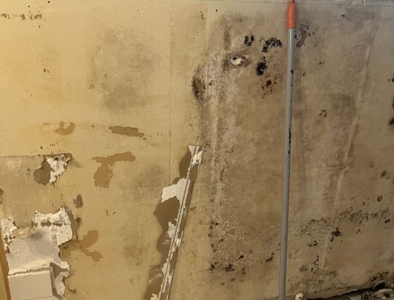 Mold discovered behind cabinets