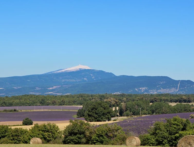Photo d'un champs de lavande situé vers la ville de Barème