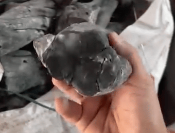 Coffee Charcoal White Charcoal Binchotan