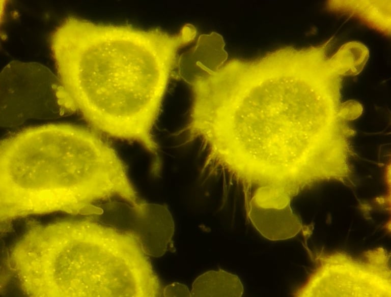 Tratamiento biologico