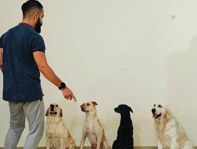 Happy family moment with all four Pawdashians dogs enjoying playtime