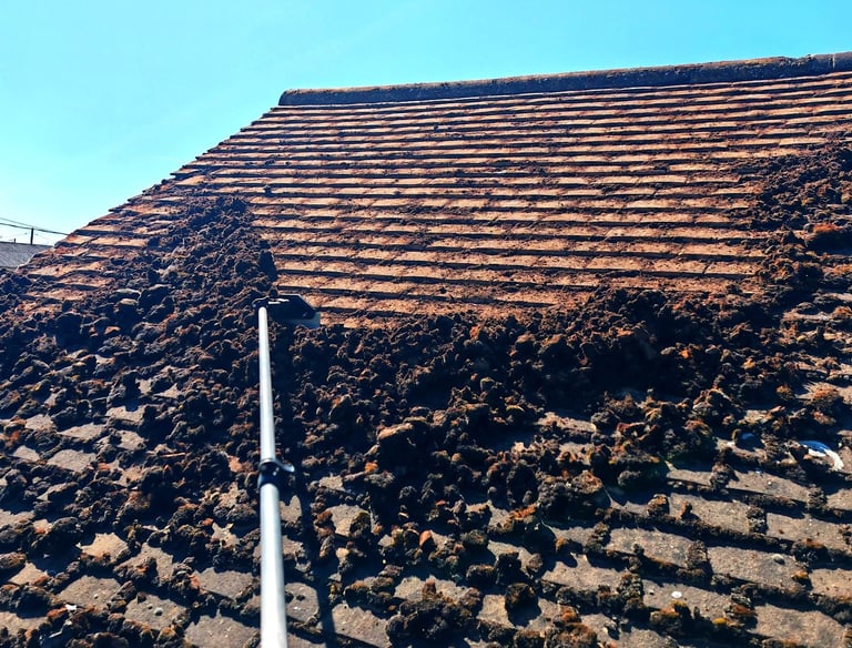 Roof cleaning cambridge scraping moss removal