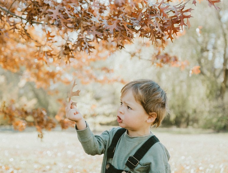 a boy playing with autum leaves in a lifestyle photo session in Adelaide Hills