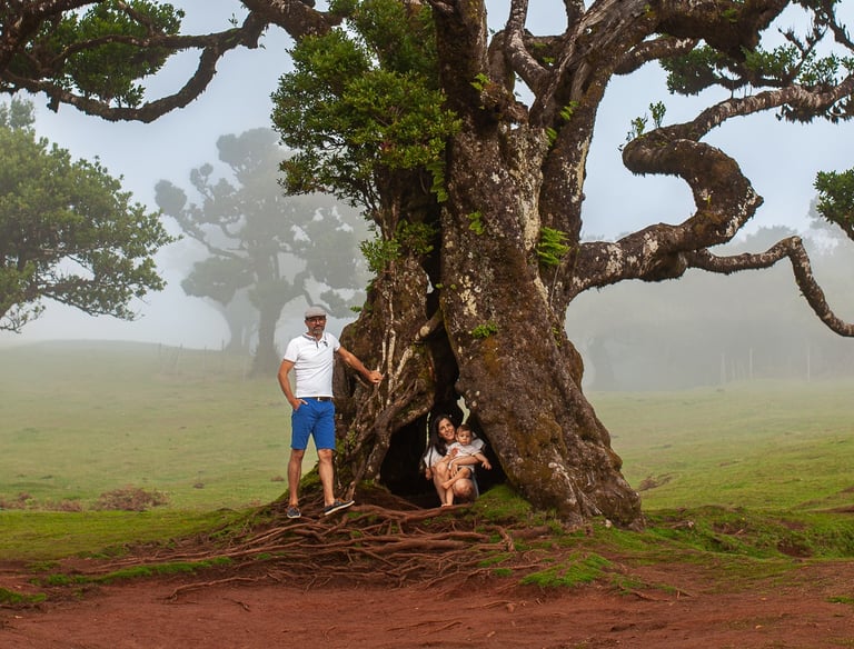 Family portrait under dramatic gnarled ancient tree with misty atmospheric conditions at Fanal Forest