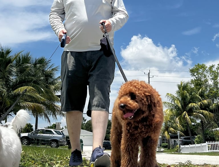 robert walking customers dogs in port saint lucie wearing a back's yard poop scooping shirt