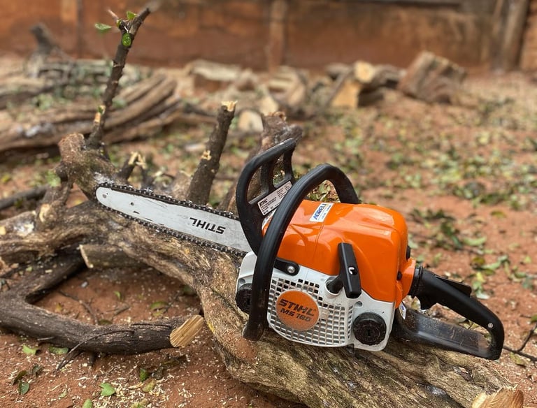 Corte de árvores em Rio Preto