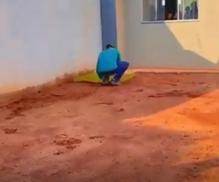 Plantio de todos os tipos de gramas