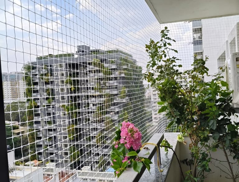 Wide shot of a commercial building in Bengaluru fitted with pigeon safety nets.