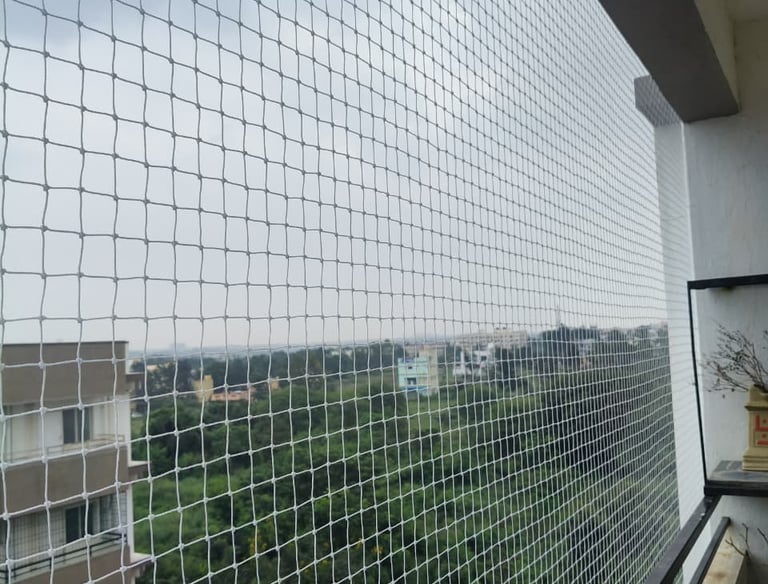 Completed pigeon safety net installation on a Sarjapura Road building.