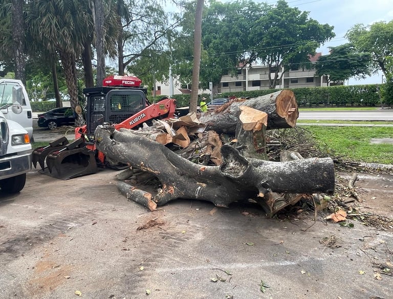 A red Kubota skid steer loader clearing a large pile of cut tree logs and branches on a paved lot.