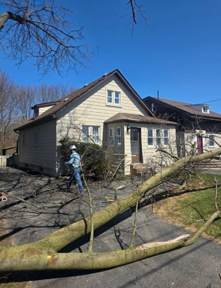 Professional arborist clearing a fallen tree from a residential driveway after storm damage.
