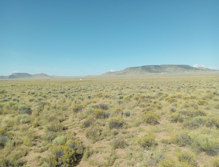 a field with a mountain in the background