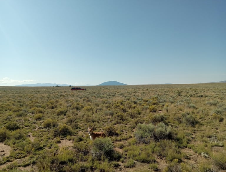 a hill in the middle of a field with a car in the background