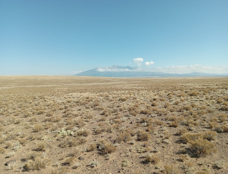 a field with a mountain in the background