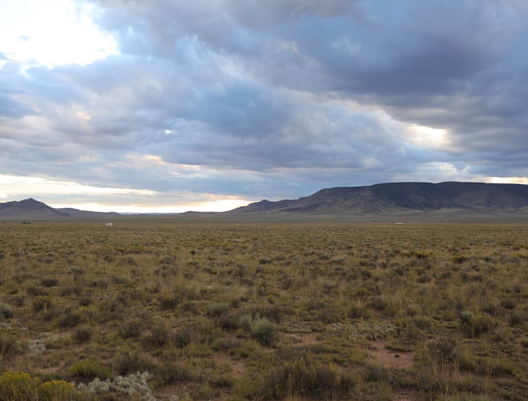 a large field with a mountain in the background