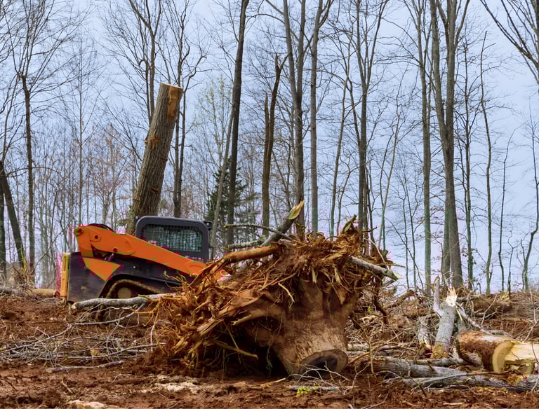 land clearing equipment preparing site for construction access