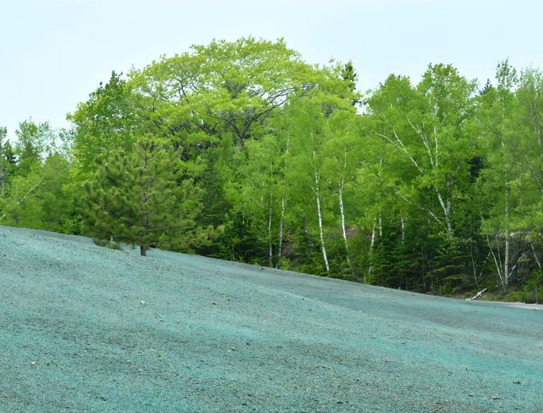 hydroseeding contractor stabilizing slope with erosion control for infrastructure project Gulf South