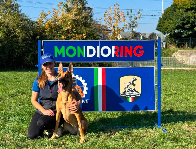 Professional dog trainer working with older dog