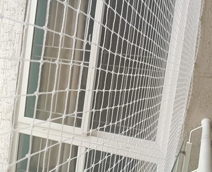 Window framed with a fine mesh pigeon net, sunlight filtering through in a cozy apartment.