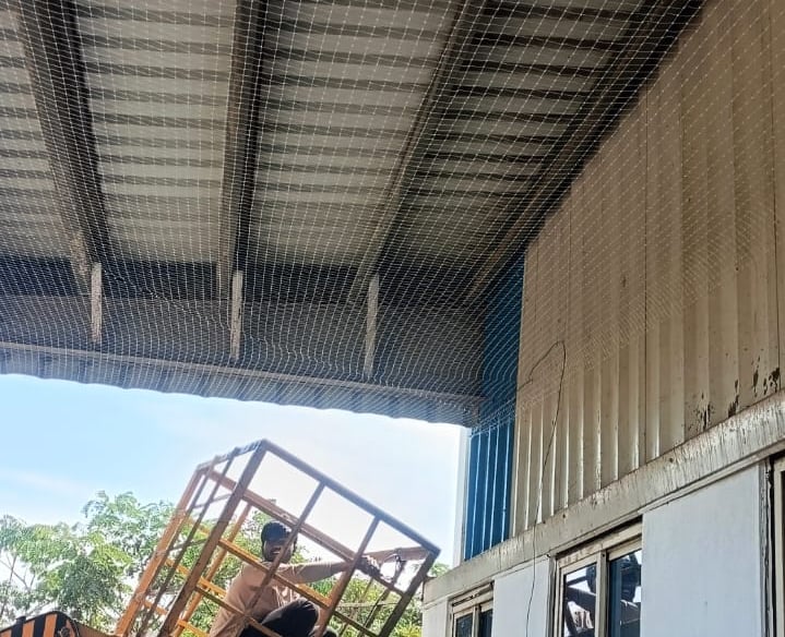 iindustrial pigeon nets installation in pallikarnai chennai