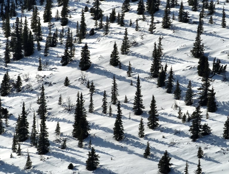 Aerial View of Snow Covered Hill