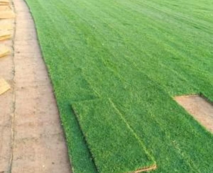 تنسيق حدائق بالقسيم مؤسسة حدائق الابداع