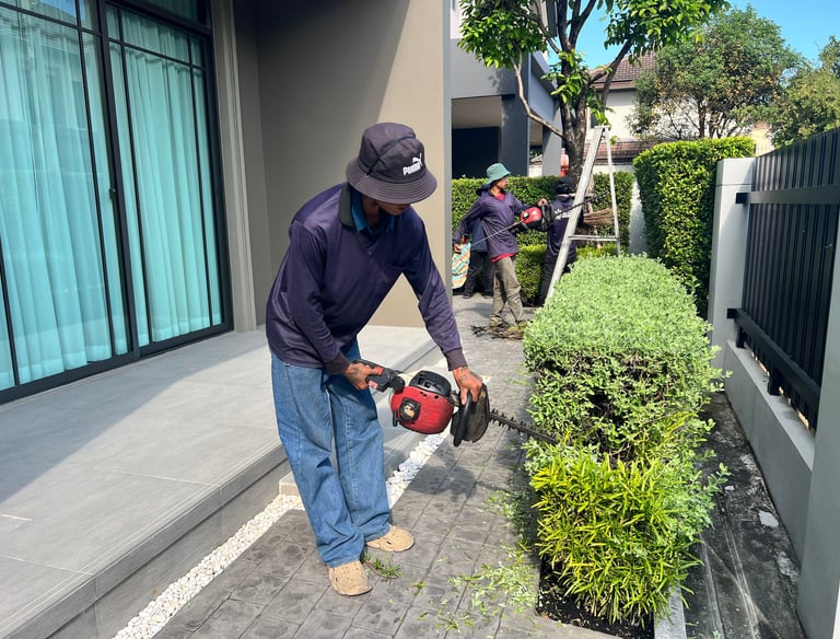 การตัดแต่งพุ่มไม้