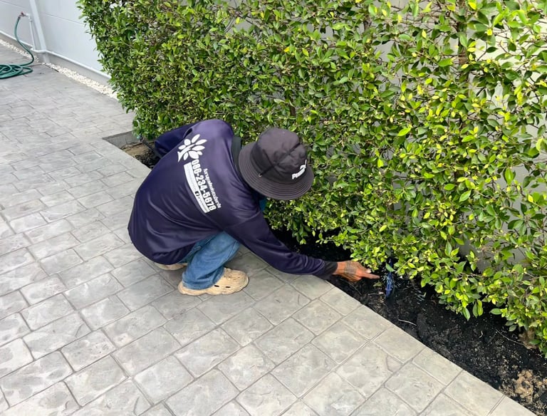 การใส่ปุ๋ยต้นไม้