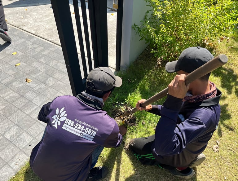 การกำจัดวัชพืช