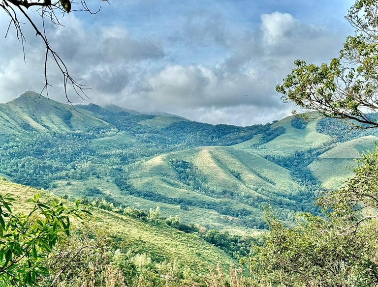 Scenic view from a mountain peak in Chikmagalur