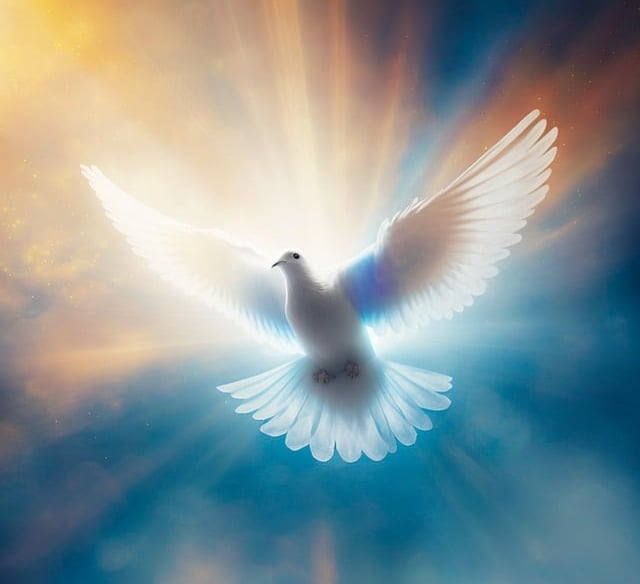 Christian Life Purpose Step