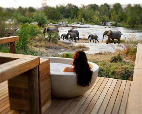 wellness safari lodge in South Africa hosting wellness retreats