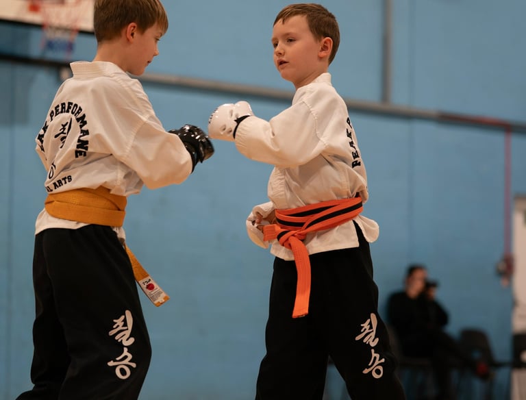 two boys practising martial arts in our Tunbridge Wells dragons classes.